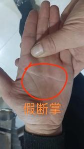 假斷掌手紋圖片大全