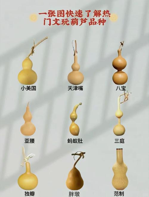開口葫蘆要一直開著嗎 有什么說法