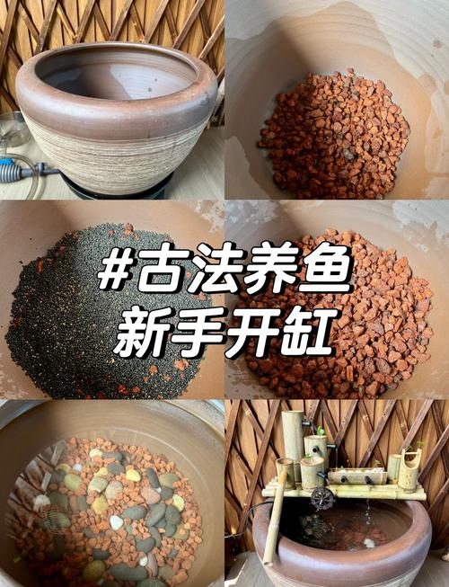 養魚開缸窮三代  并非養的魚越多越好