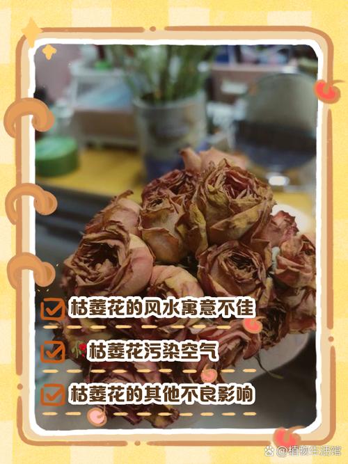家里放干花到底好不好 為什么不能放干花