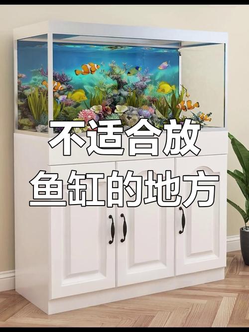 家里酒柜擺什么招財 不宜擺放在魚缸旁邊