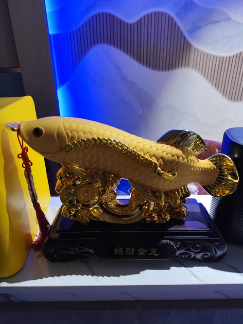 最招財又聚財的東西  金魚缸催旺財運
