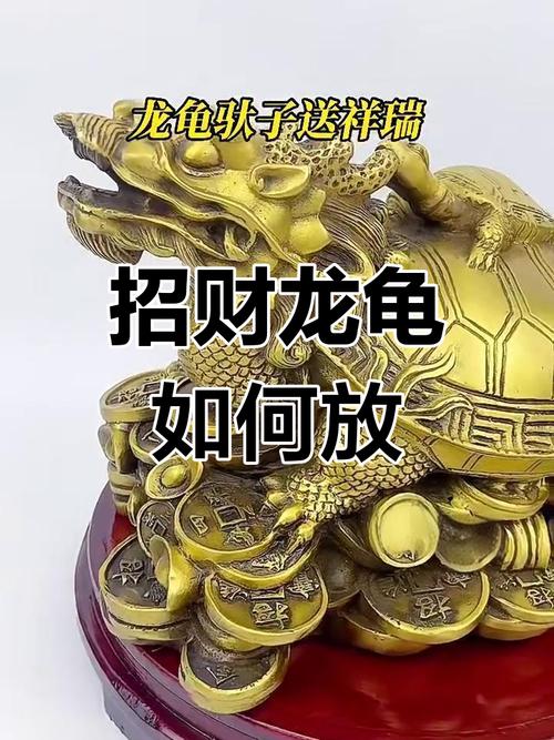 財位放烏龜好嗎 根據養龜目的擺放龜位