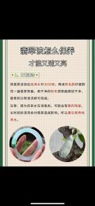 翡翠手鐲怎么養護  關鍵在于定期保養