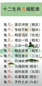 2022年屬兔大忌，虎年屬兔人忌諱什么