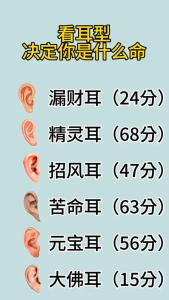 耳垂向上卷是何命