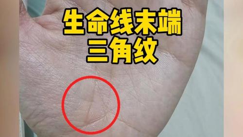 詳解：生命線上出現三角紋路