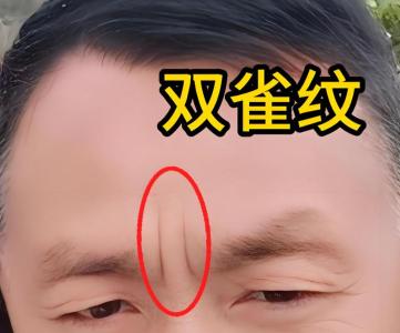 相學一兩根眉毛特別長