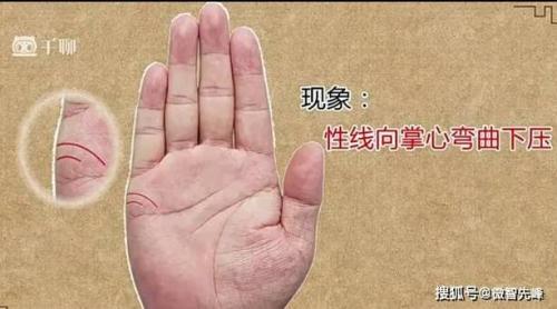 手紋中出現(xiàn)了魚