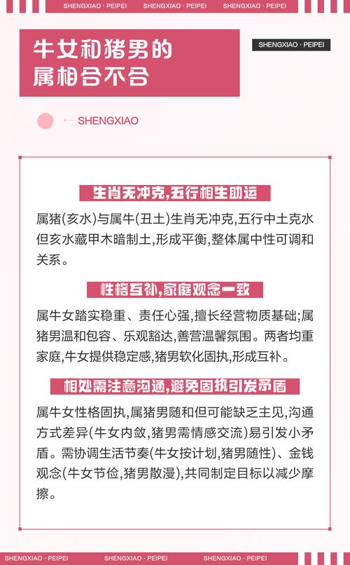 兩個屬相的婚姻關系存在哪些問題 屬牛媳婦和屬豬婆婆合不合
