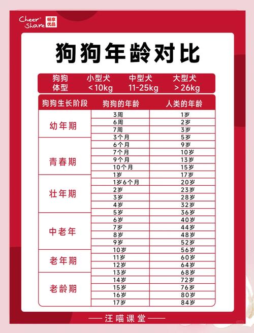 屬狗的多大了歲數 屬狗2024年虛歲多大