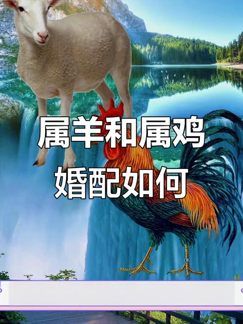 慷慨大方頗有人情味 生肖羊男和生肖女雞配嗎