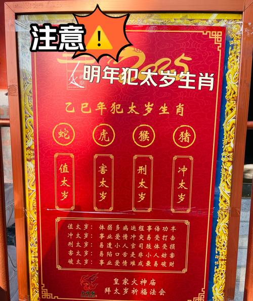 屬鼠人2024龍年最忌諱做哪些事