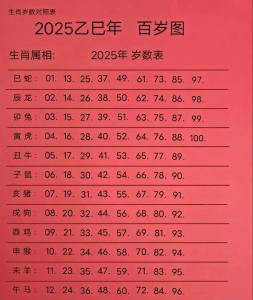 2025年是什么命