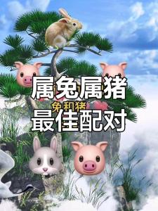 和屬兔女最適合 生肖豬男和什么生肖最配婚