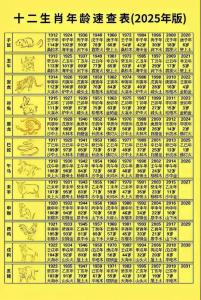 2008年屬鼠2024年多大 2008年屬鼠在2024年多少歲