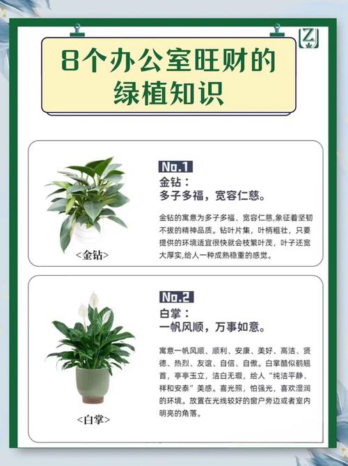 辦公室綠化的風水作用有哪些?