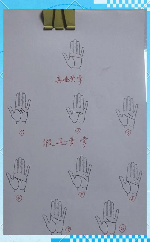 通貫掌俗稱什么？通貫掌的特征介紹