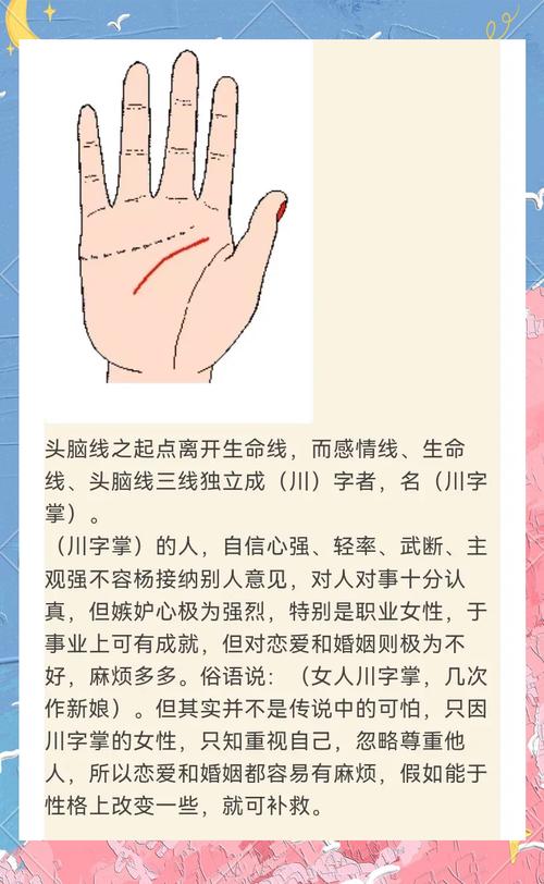 智慧線分支是什么，關于智慧線圖文解析