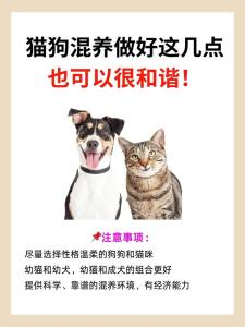 從風水看你家適合養貓狗嗎？