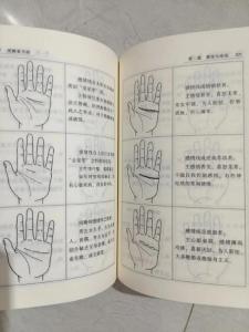 看手相算婚姻 不準(zhǔn)確我吃桌子