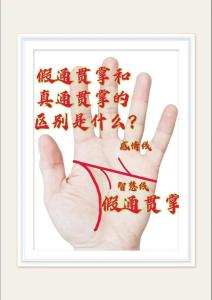 通貫掌是什么樣子？真假通貫掌辨別方法