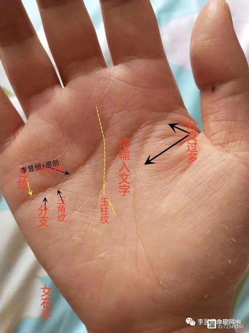 感情線亂紋多又開叉  開叉向下戀愛無法長久