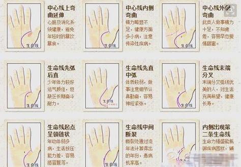 智慧線中間分叉是什么意思？