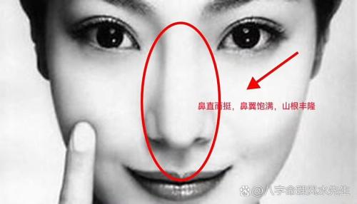 女人旺夫鼻是什么樣呢