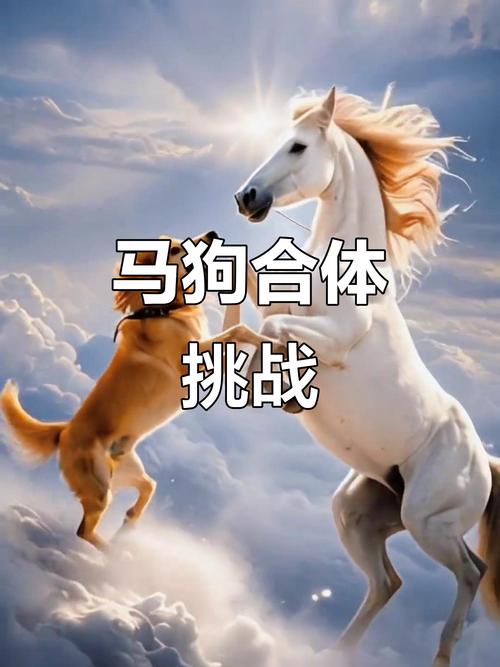 生肖馬和生肖狗在一起合適嗎 屬馬的生肖跟什么生肖最配