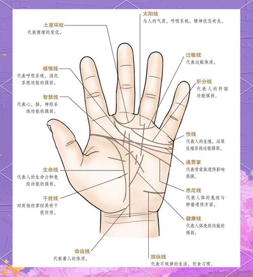 如何從生命線看人的性格?