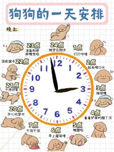能合理調整作息的生肖