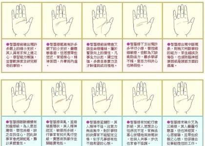 如何從智慧線看出你適合的職業?