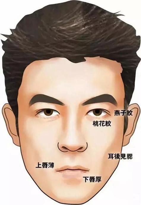 男人桃花運面相 什么面相桃花運旺
