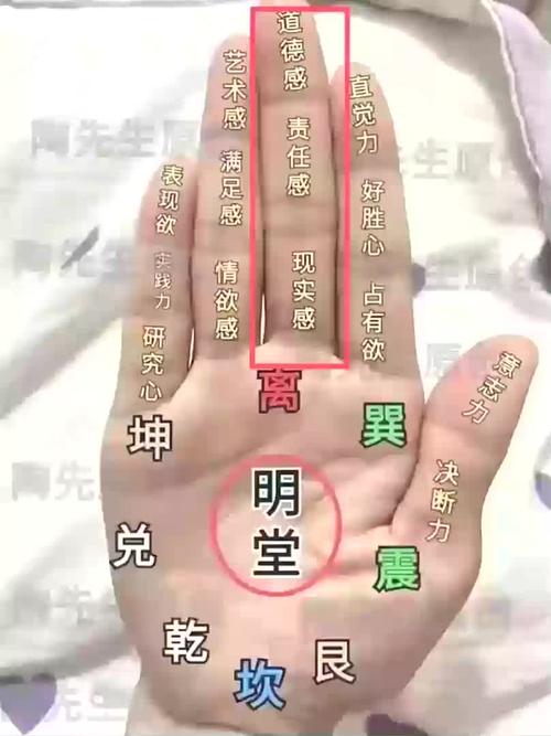 解析中指中暗藏的乾坤