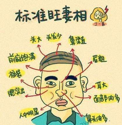 男人什么面相對老婆言聽計從