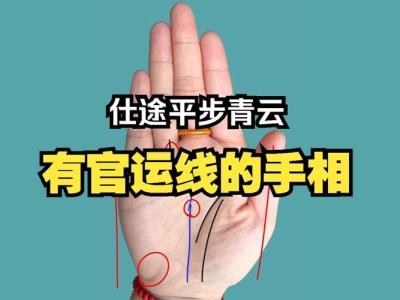 天生當官的命的手相圖 手掌成功線較粗的