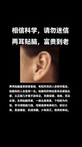 什么是提耳、貼腦耳
