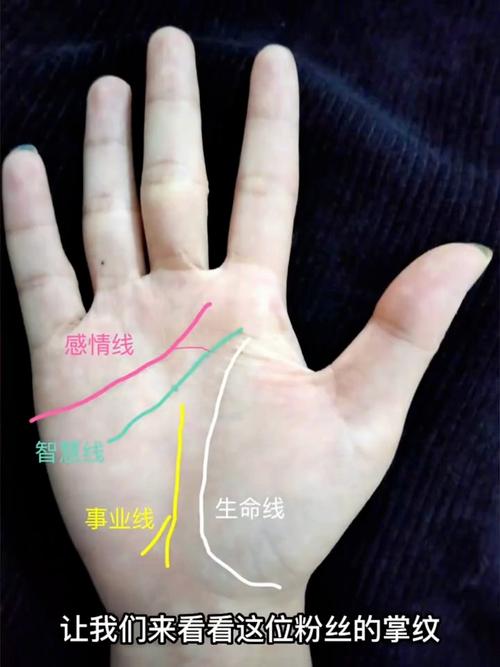 事業線與生命線重合？難道是賣命工作？！