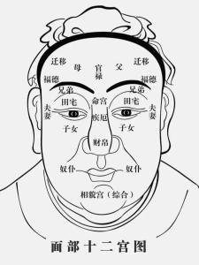 眼睛看相：如何看待幾白眼？