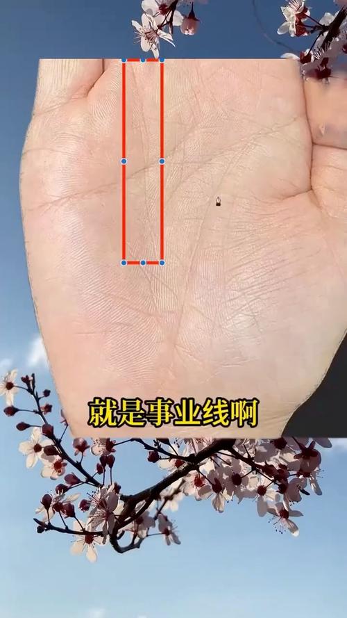 晚年大富大貴的成功線(xiàn)