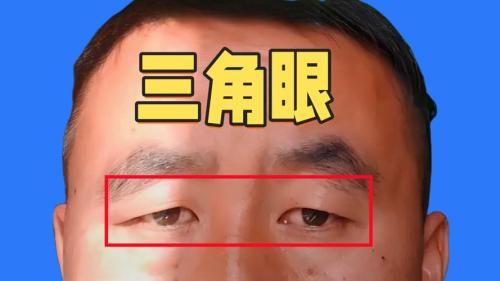 三角眼是什么樣子
