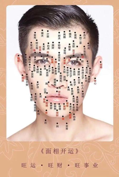 人中有痣的男人命好嗎，有可能成為一流的料理師是真的嗎?