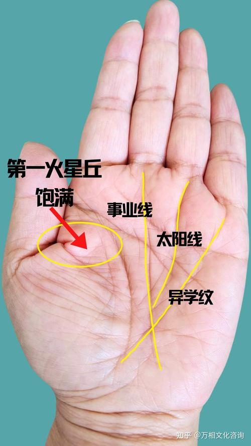 第一火星丘包含了什么命理信息?