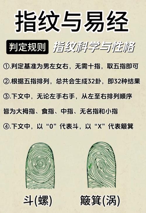 指紋的種類有哪些，指紋算命能看出什么?(一)