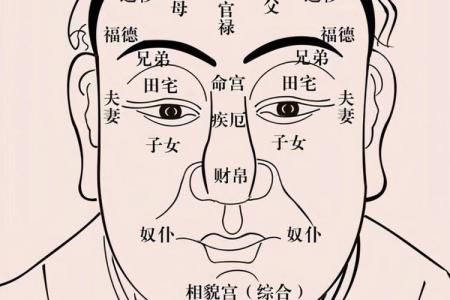 山根長痣的男人面相分析，一生運勢多受阻？