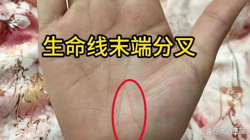生命線有分叉