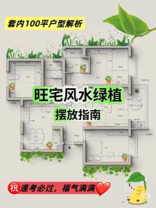 家居植物的擺設風水知識