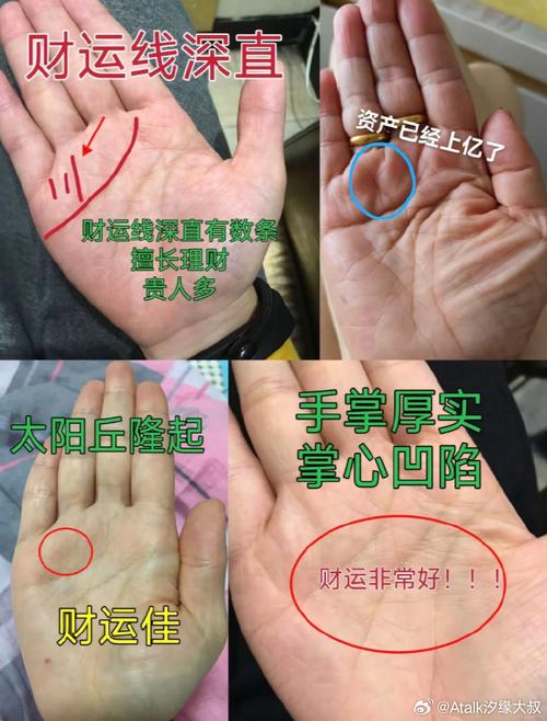 手相看你今生靠什麼【發財】？