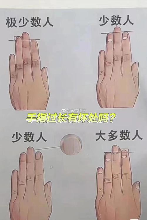 五指長短看出你的軟肋